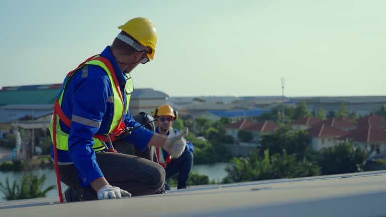 Best Roof Maintenance and Cleaning  in Shingle Springs, CA
