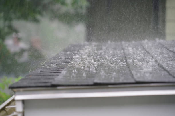 Best Roof Coating Services  in Shingle Springs, CA