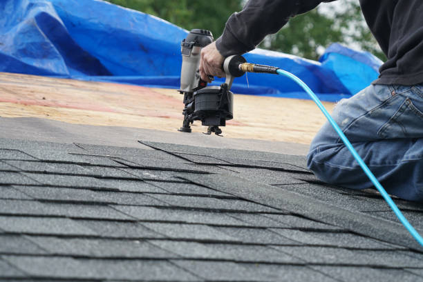 Best Roof Leak Repair  in Shingle Springs, CA