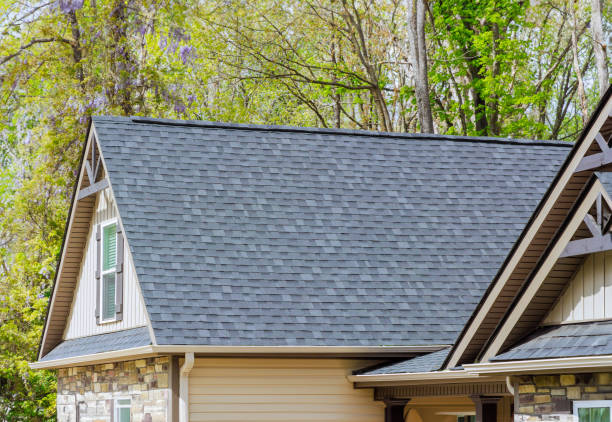 Best Skylight Installation and Repair  in Shingle Springs, CA