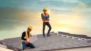 Best Roof Moss and Algae Removal  in Shingle Springs, CA